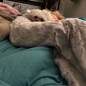 Meet your Posher, Kaitlin